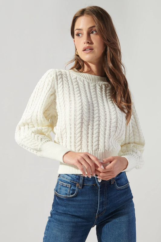 Ari Cable Knit Sweater